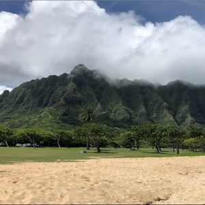 Meet your Posher, Daneeka